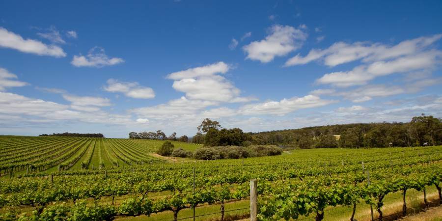 Margaret River